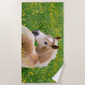 Haflinger Pony Horse Cute Foal in Flowerbed Photo Strandlaken (Voorkant)