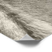 Haflinger Porträt - Horse - cheval Poster (Hoek)