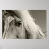 Haflinger Porträt - Horse - cheval Poster (Voorkant)