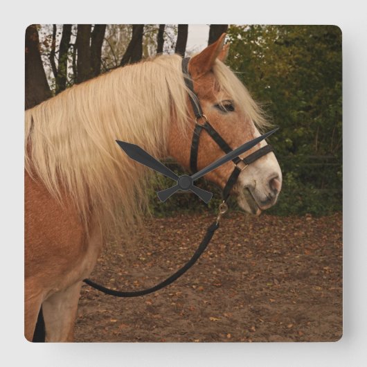 Haflinger Wallach Mifisto - Wanduhr Vierkante Klok (Voorkant)