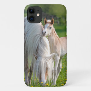 Haflingerpaarden verklikken Baby met foto van moed Case-Mate iPhone Case