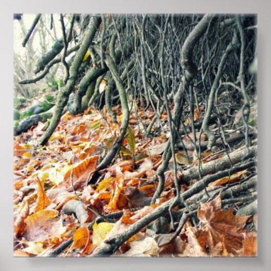 Hafren River Poster (Voorkant)