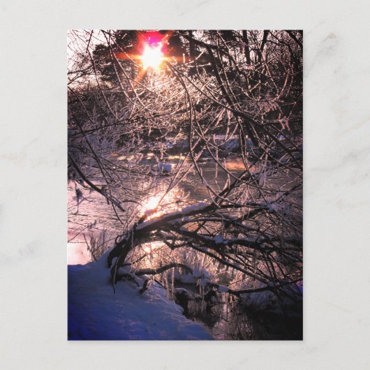 Hafren / Severn in Winter Briefkaart (Voorkant)