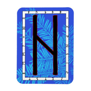 Hagalaz Viking Rune Magnet - Transformatie! Magneet