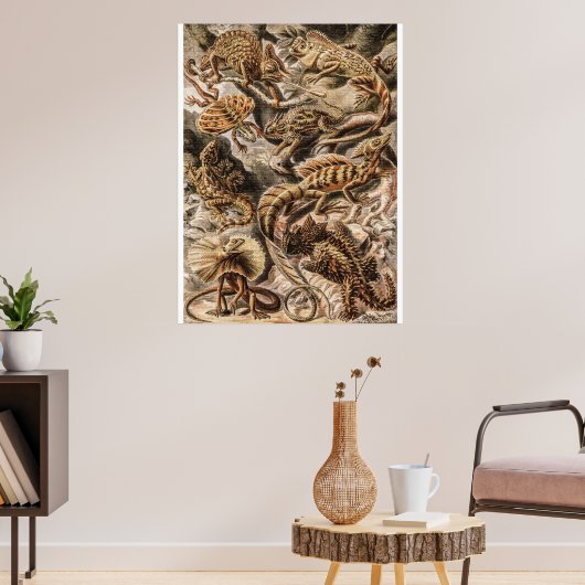  hagedieren door Ernst Haeckel Poster (Woonkamer 3)