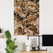  hagedieren door Ernst Haeckel Poster (Thuiskantoor)