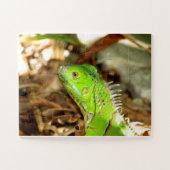 hagedipuzzel legpuzzel (Horizontaal)