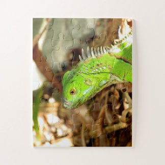 hagedipuzzel legpuzzel
