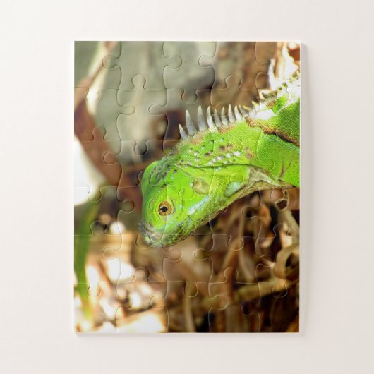 hagedipuzzel legpuzzel (Verticaal)