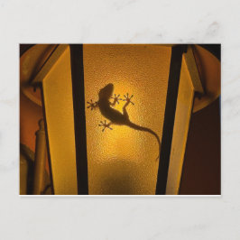 Hagedis Artistieke Illustratie Briefkaart