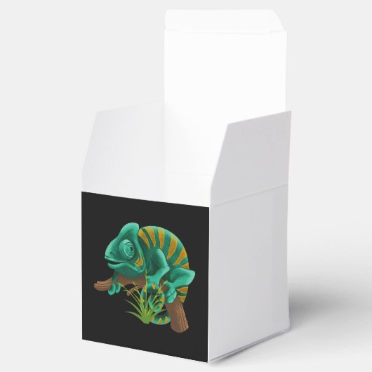 hagedis bedankdoosjes (Geopend)