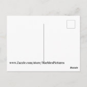 hagedis briefkaart (Achterkant)