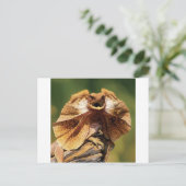 hagedis briefkaart (Staand voorkant)