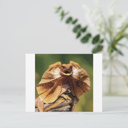 hagedis briefkaart (Staand voorkant)