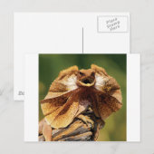 hagedis briefkaart (Voorkant / Achterkant)