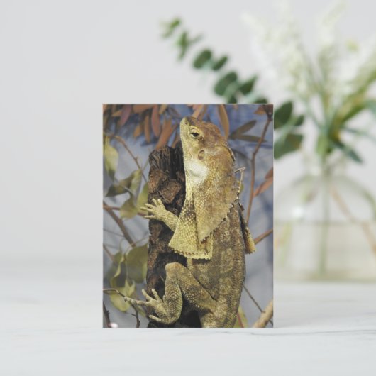hagedis briefkaart (Staand voorkant)
