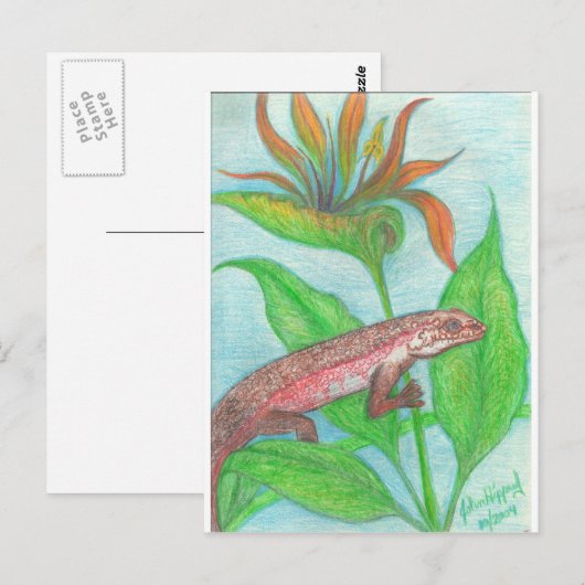 hagedis briefkaart (Voorkant / Achterkant)