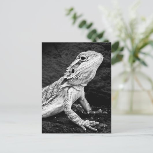 hagedis briefkaart (Staand voorkant)