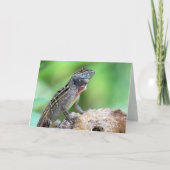 hagedis (bruine anool) (6891) - blanco binnenin kaart (Voorkant)