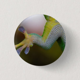 hagedis - Button