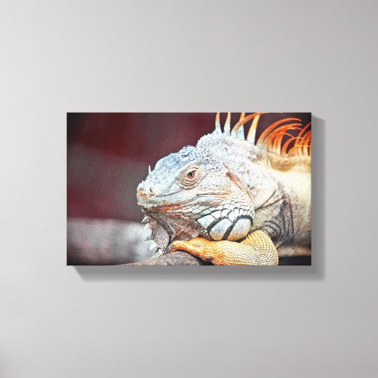 hagedis canvas afdruk (Voorkant)