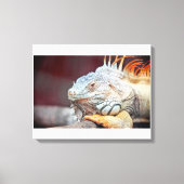hagedis canvas afdruk (Voorkant)