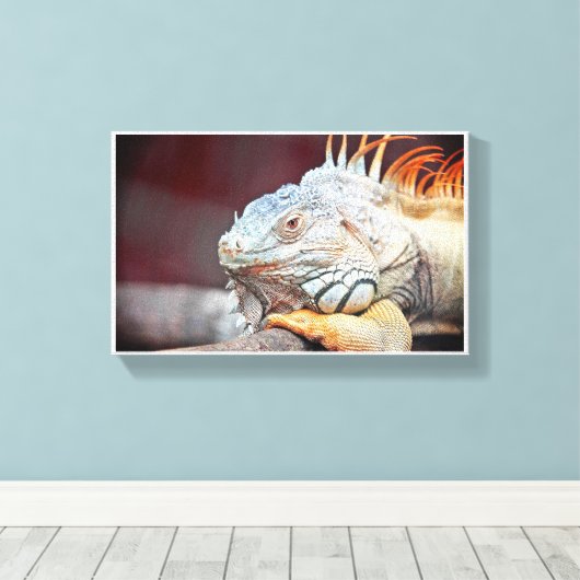 hagedis canvas afdruk (Insitu (Houten vloer))