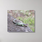 hagedis canvas afdruk (Voorkant)