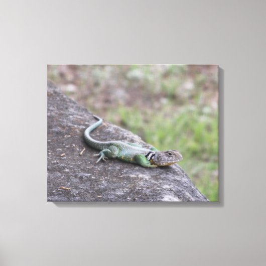 hagedis canvas afdruk (Voorkant)