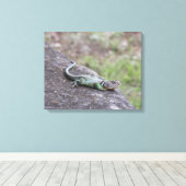 hagedis canvas afdruk (Insitu (Houten vloer))