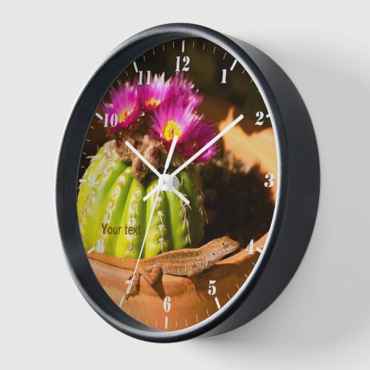 Hagedis en Parodia cactus in bloei (Hoek)