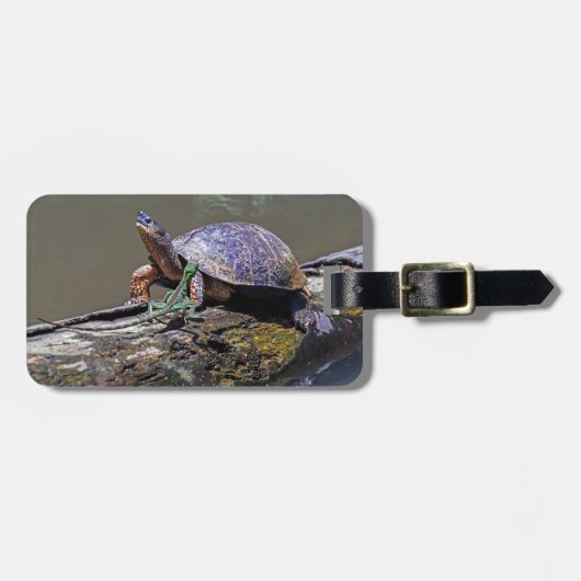 hagedis- en rivierschildpad in Tortuguero - Costa  Bagagelabel (Voorkant horizontaal)