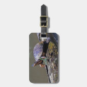 hagedis- en rivierschildpad in Tortuguero - Costa  Bagagelabel (Voorkant verticaal)