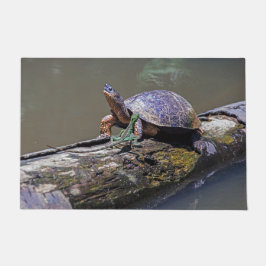 hagedis- en rivierschildpad in Tortuguero - Costa  Deurmat