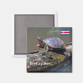 hagedis- en rivierschildpad in Tortuguero - Costa  Magneet (Voorkant / Achterkant)
