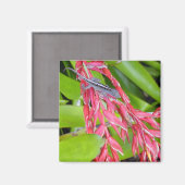 Hagedis en schoonheid magneet (Voorkant / Achterkant)