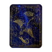 hagedis - en zwaanconstellatie magnet magneet (Verticaal)