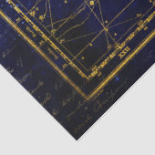 hagedis- en zwaanconstellatieweefselpapier tissuepapier (Detail)