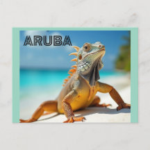 Hagedis geniet van het strand op Aruba