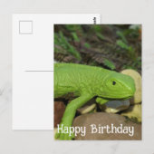 Hagedis in de Tuin Gefeliciteerd Briefkaart (Voorkant / Achterkant)