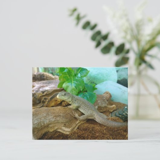 hagedis in een Terrarium Briefkaart (Staand voorkant)