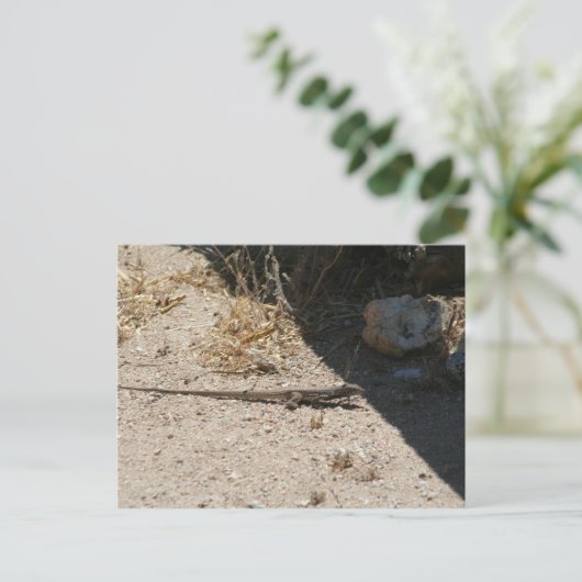 hagedis in het briefkaart van de woestijn van Ariz (Staand voorkant)