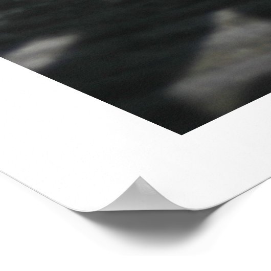 hagedis in het sloophout poster (Hoek)