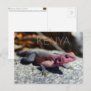 Hagedis in Masai Mara, Kenia Reisansichtkaart Briefkaart