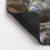 hagedis, leguaan, natuur muismat (Hoek)