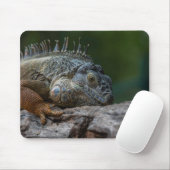 hagedis, leguaan, natuur muismat (Met muis)