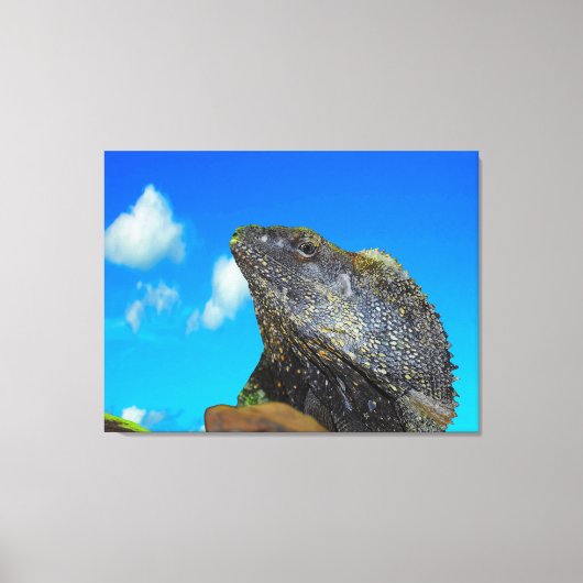 hagedis met open hals canvas afdruk (Voorkant)