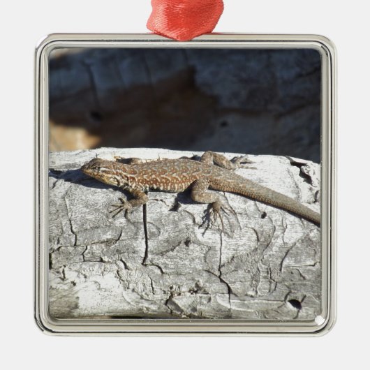 hagedis metalen ornament (Voorkant)