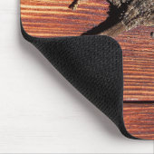 hagedis muismat (Hoek)