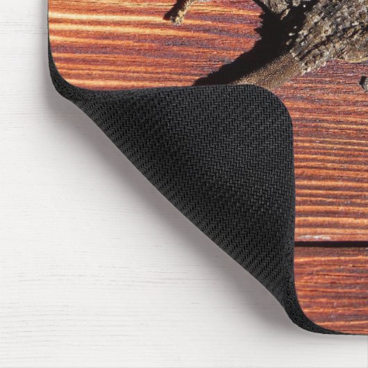 hagedis muismat (Hoek)